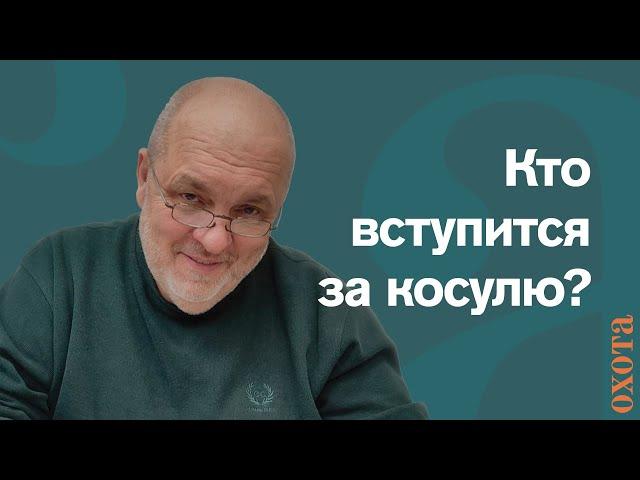 Кто вступится за косулю? Валерий Кузенков о безответственном отношении к охотничьим ресурсам.