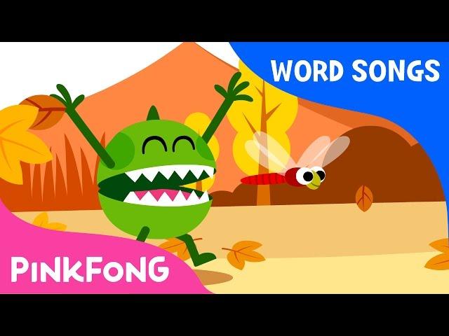 Seasons | Word Songs | Word Power | Pinkfong Songs for Children