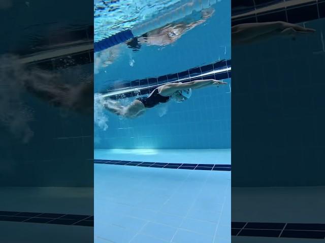 오늘은 접영 #수영#접영 #butterfly #swimming