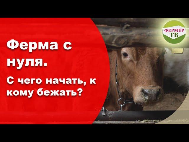 Ферма с нуля. С чего начать, к кому бежать?