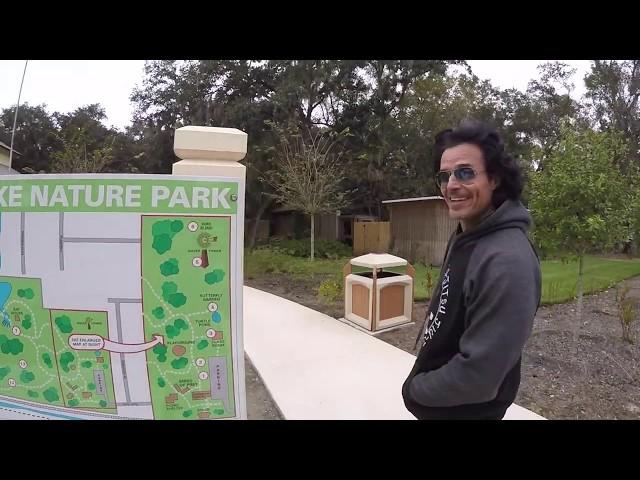 Mushroom Hunting in Clearwater Florida