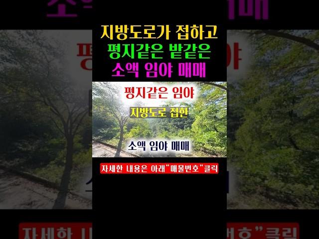평지 같은 밭 같은 소액 임야입니다