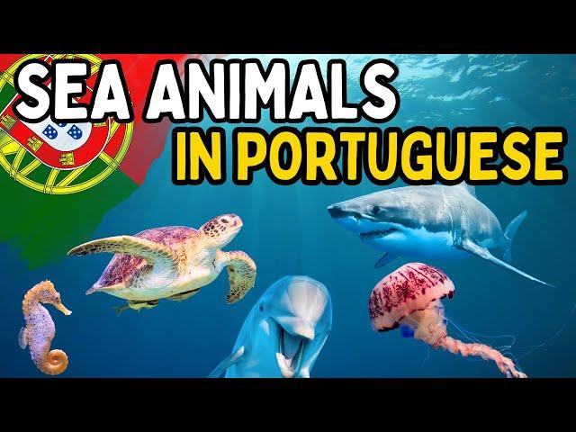 STOP Using the WRONG Sea Animal Names in Portuguese! 