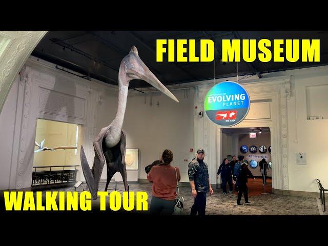 Field Museum - Chicago Natural History Museum - Full Walkthrough - Walking Tour - Relaxing - 4K