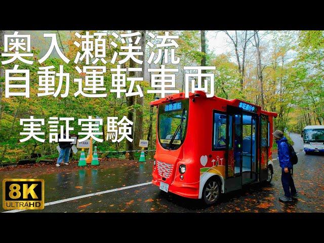 【奥入瀬渓流】自動運転乗車体験 実証実験【青森県十和田市】8K