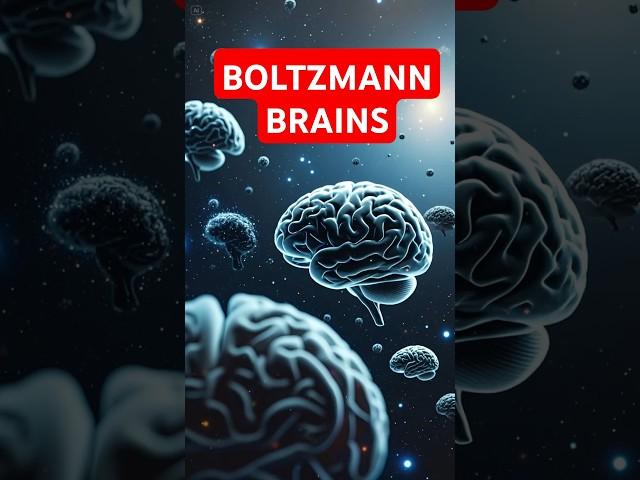 You might be the only thing in Universe: What are BOLTZMANN BRAINS? #shorts #trendingtrendzes