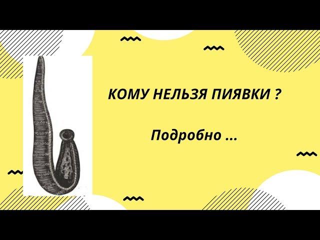 Когда нельзя ставить пиявки - гирудотерапия противопоказания