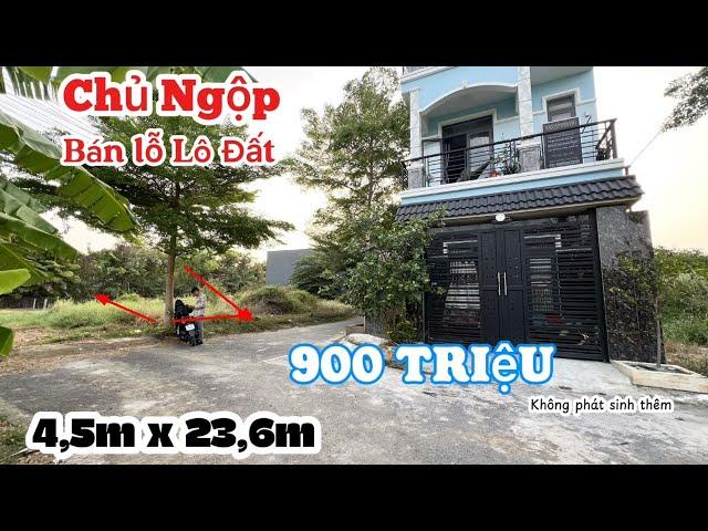 Đất Nền trên trục đường 835A giáp Bình ChánhAnh Chủ Kêu Bán Lô Đất Mặt Tiền Đường nhựa 6m