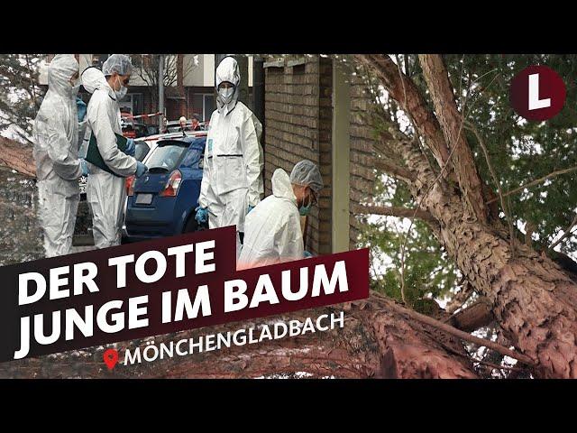 Mark S.: Seine Leiche lag 3 Monate unentdeckt im Baum | Lokalzeit MordOrte