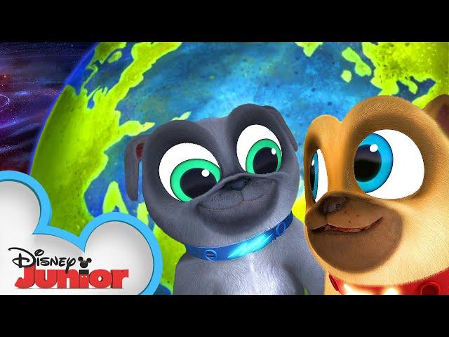 Bingo and Rolly Celebrate Earth Day! | Puppy Dog Pals | Disney Junior