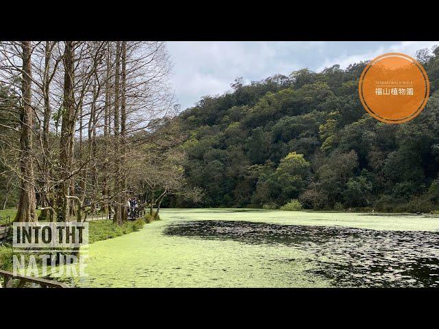 福山植物園｜以自然山林為版圖的植物園｜豐富生態｜來一趟舒展身心的森呼吸吧！