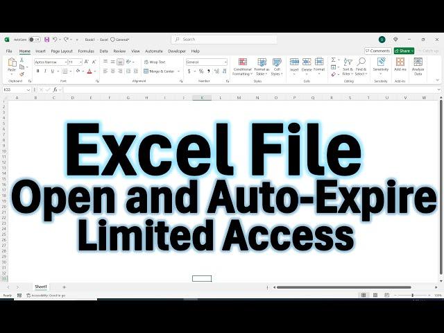 Create an Expiring Excel File with VBA | One-Time Open and Auto-Expire Feature