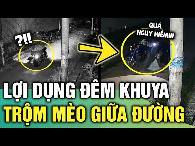 Lợi dụng đêm khuya thanh vắng, thanh niên thản nhiên trộm mèo như chỗ không người | TIN 1 PHUT