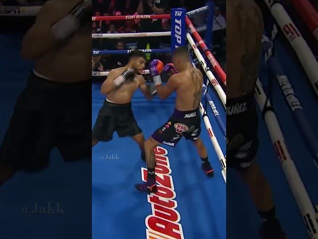 Raymond Muratalla Boxing Knockout vs Diego Torres