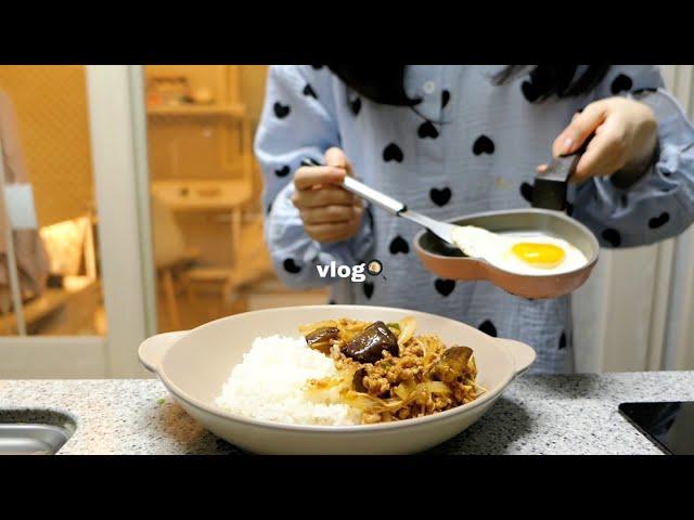 vlog | My Daily Life: Getting Groceries, Packing a Lunchbox, Making Apple Jam and Eggplant Rice Bowl