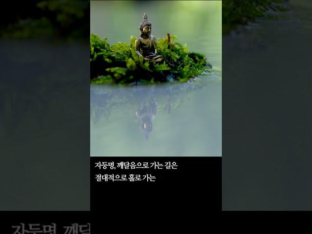KBB한국불교방송 불교명언 "진리대로 살아가는 사람"