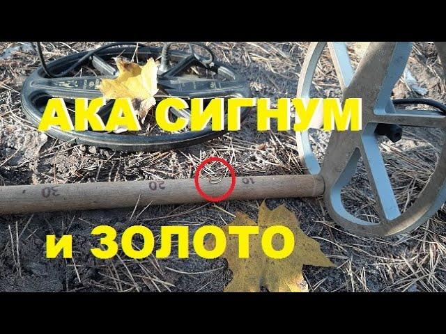 ЗАЧЕМ НУЖНА ВЫСОКАЯ ЧАСТОТА. АКА СИГНУМ ,Сравнение катушек