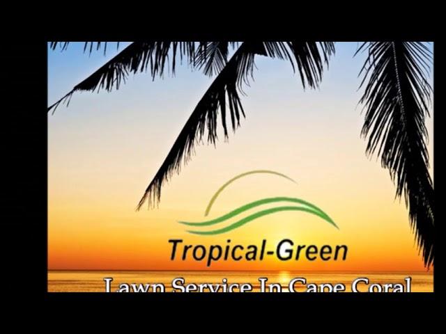 Cape Coral Lawn Service (239) 337-5296 Tropical Green Lawn Care