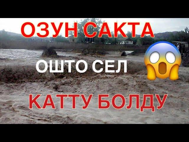 ОШТО МЫНДАЙ БОЛБОГОН ЭЛЕ СИНОПТИКТЕР КАЙДА КИМ КУНОЛУ ?#кыргызстан #мигрантлар #мигрантывроссии