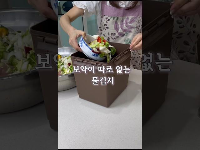 보약이 따로 없는 물김치 | 절임 과정 없음