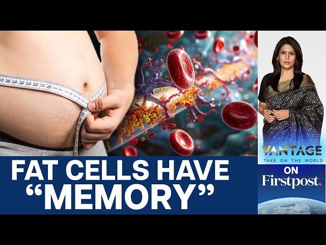 Fat Cells Have "Memory", Remember Past Obesity  | Vantage With Palki Sharma