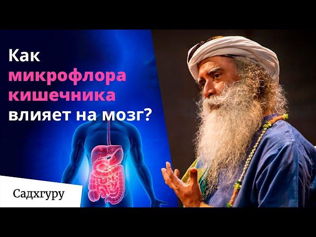 Как здоровье кишечника влияет на здоровье мозга? | Беседа Садхгуру и доктора Эмерана Майера