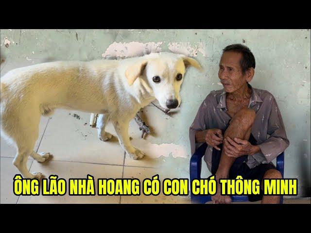 Chuyện Kỳ lạ Ông Lão ở Nhà Hoang Có Con Chó Trắng thông Minh “ VƯƠNG PHẠM TV tập 16