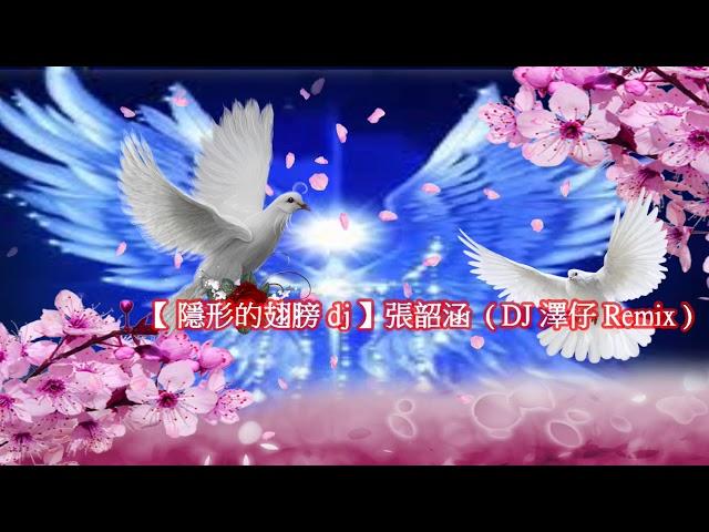 【 隱形的翅膀 dj 】張韶涵 ( DJ 澤仔 Remix )