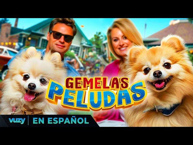 GEMELAS PELUDAS | PELICULA EXCLUSIVA FAMILIA | PELICULA EN ESPANOL LATINO