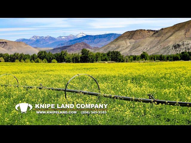 SOLD - Salmon River Ranch - Land For Sale In Challis, Idaho