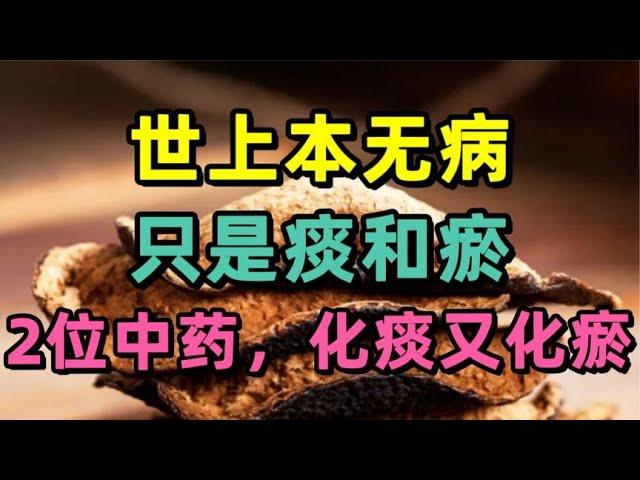 世上本无病，只是痰和瘀，2位中药，化痰又化瘀