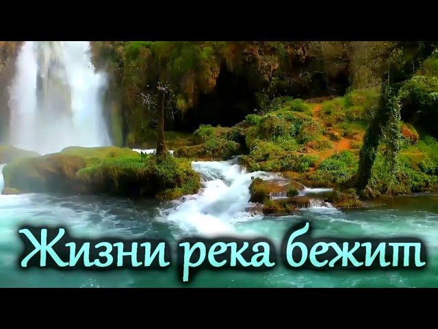 Жизни река бежит. Красивые христианские песни. Сборник Русавуки