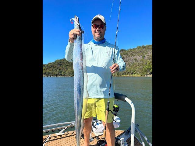 IFISHTV Hawkesbury River Hairtail on Soft plastics & Mulloway