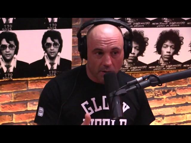 Joe Rogan on Ronda Rousey's Decline