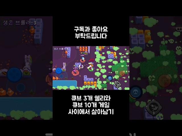 1등 날먹 그 자체#브롤
