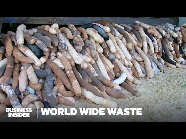 11 Ways People Make Money Off America's Garbage | World Wide Waste | Business Insider Marathon