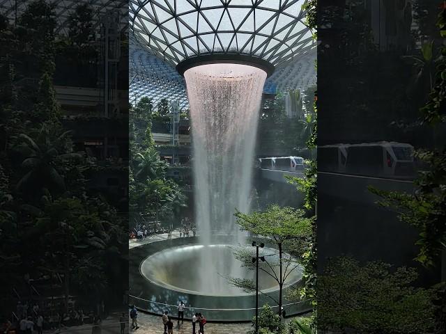 Rain vortex , world's tallest indoor waterfall at Jewel Changi airport in Singapore || Must visit !