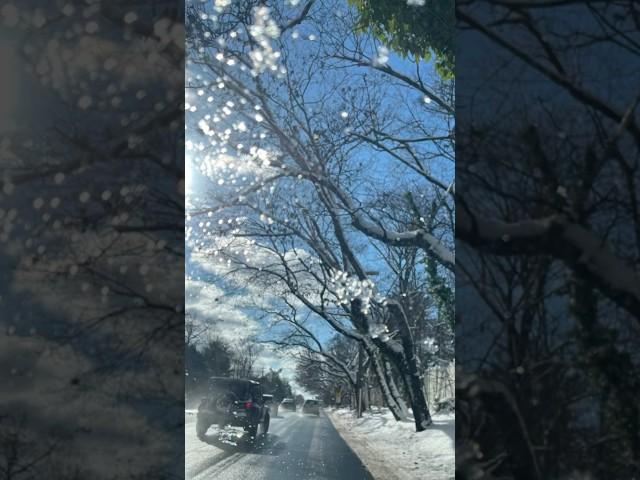 A snowy day in New York, with just a hint of winter's touch on the streets.