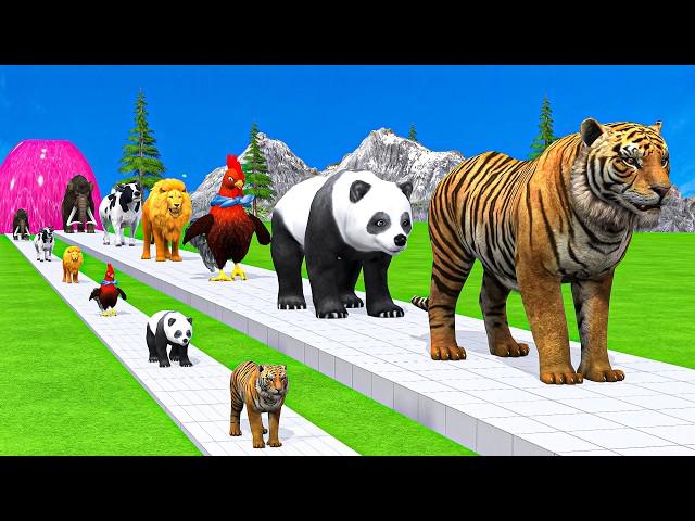 Paint & Animals Duck,Gorilla,Lion,Elephant,Cow,Sheep Fountain Crossing Transformation Animal Cartoon