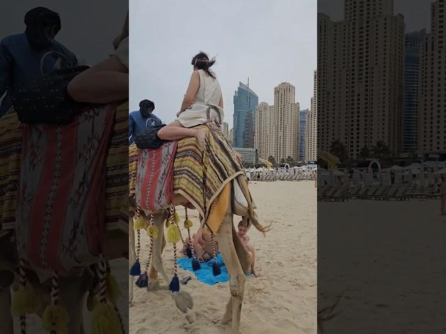 dubai jbr beach camel ride #дубай #beach #plaj #пляж #spiaggia #plage #strand