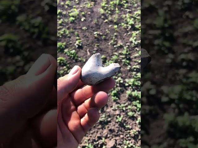 Знайшов Одноразку #shots #metaldetecting