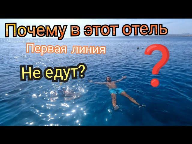 Египет ПОЧЕМУ В ОТЕЛЕ Нет Туристов? Sharm Plaza 4* Шарм Эль Шейх Первая линия Красивый риф Выводы