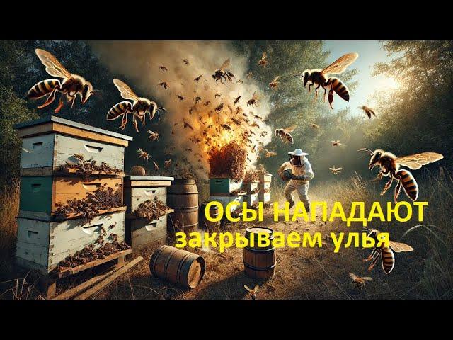 #Пчёлы.  Закрыл пчёл в ульях, чтобы уберечь от ос и ослаблений семей осенью. 10 дней под замком
