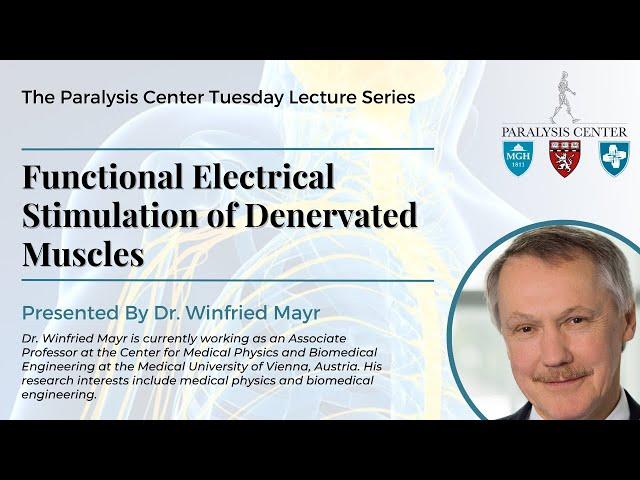 Functional Electrical Stimulation of Denervated Muscles