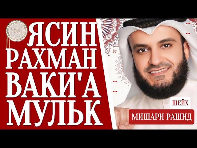 Мишари Рашид красивое чтение Ясин.Рахман Ваки'а,Мульк слушайте #quranuz #yasin