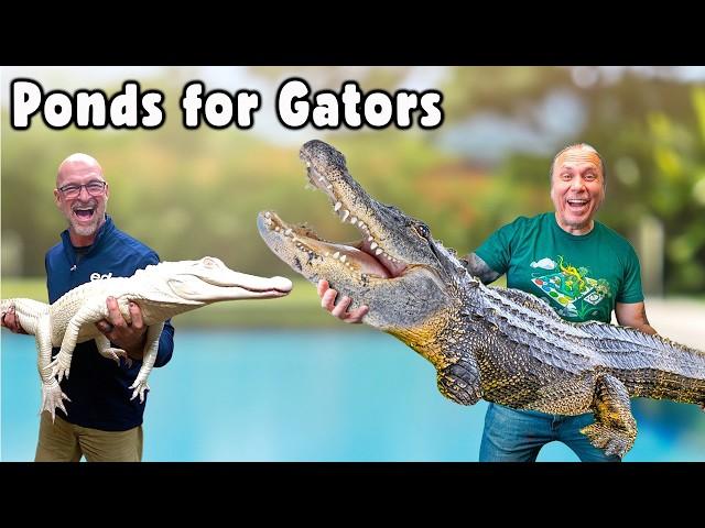 2 Massive Alligator Water Features with ​@BrianBarczyk | Compilation Vlogs