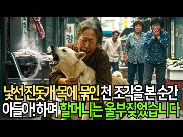 국밥집 문 앞에 나타난 낯선 진돗개… 목에 묶인 편지에서 드러난 충격적인 진실, "아들아!" 할머니는 울부짖었습니다
