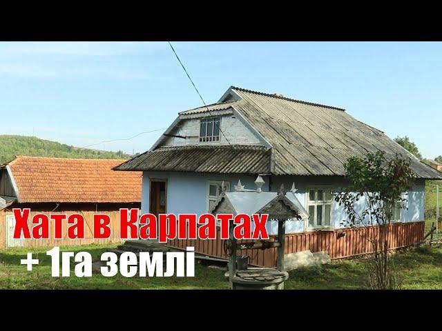 Хата в гірському селі | Гектар землі, господарка в Карпатах