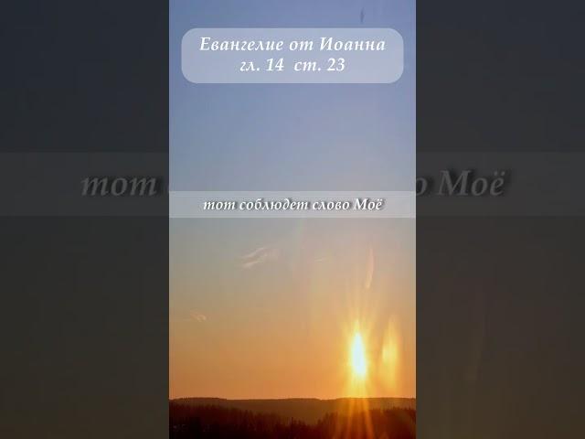 Евангелие от Иоанна гл.14 ст.23 #shorts #высшаялюбовь #истина #Толкование #евангелие #единыйзакон