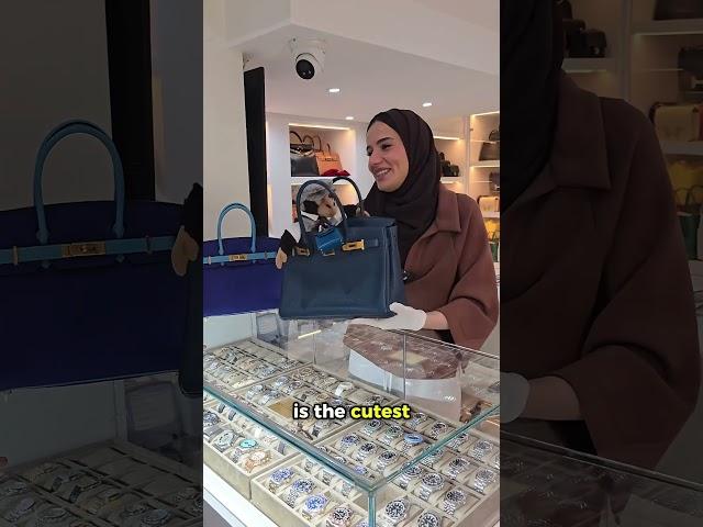 can you believe the monkey is looking for an Hermès bag?  Part 2